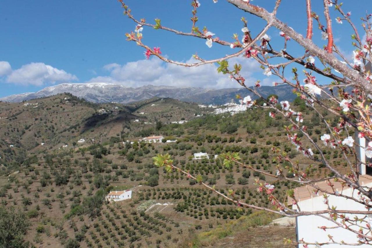 Fuentezuelas Pool Villa Sayalonga Εξωτερικό φωτογραφία